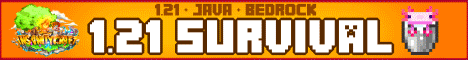 InsanityCraft's' banner